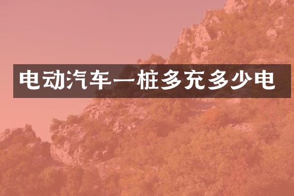 电动汽车一桩多充多少电