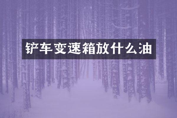 铲车变速箱放什么油