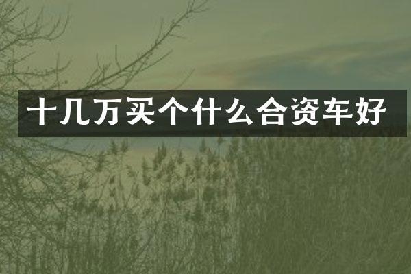 十几万买个什么合资车好