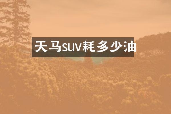 天马suv耗多少油