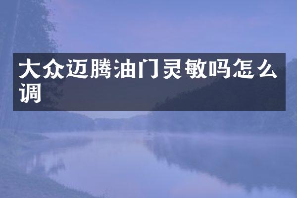 大众迈腾油门灵敏吗怎么调