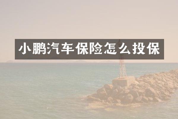 小鹏汽车保险怎么投保