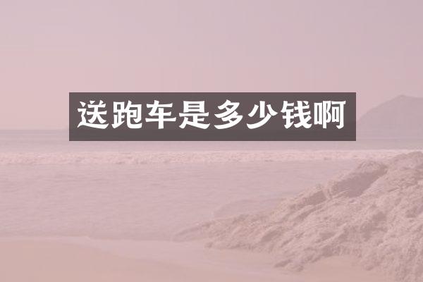 送跑车是多少钱啊