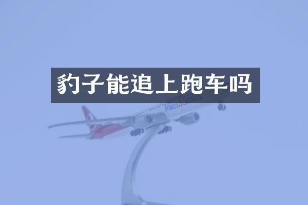 豹子能追上跑车吗