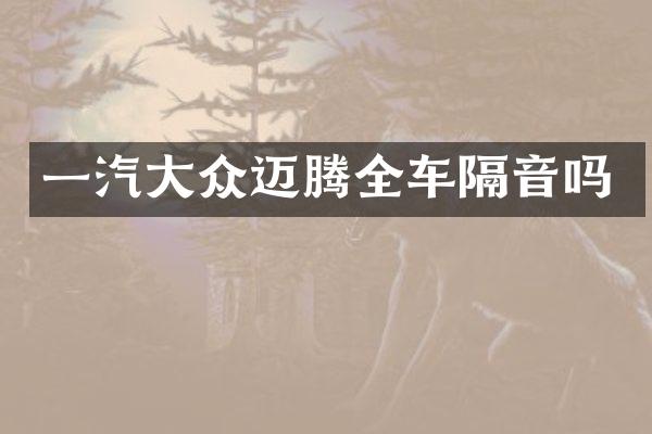 一汽大众迈腾全车隔音吗