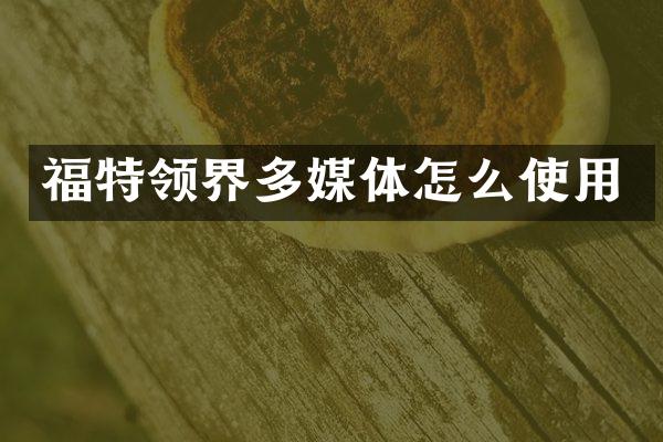 福特领界多媒体怎么使用