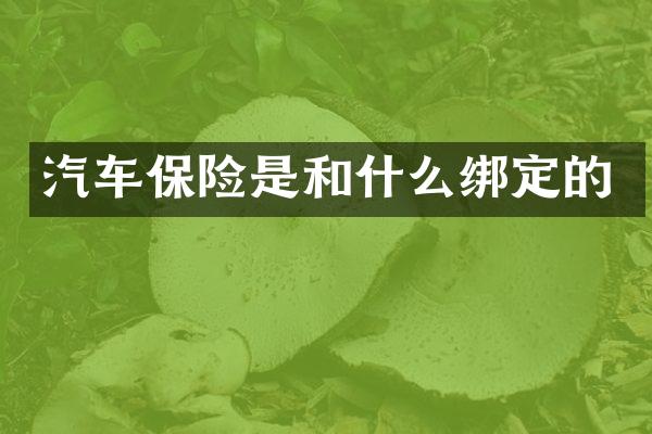 汽车保险是和什么绑定的