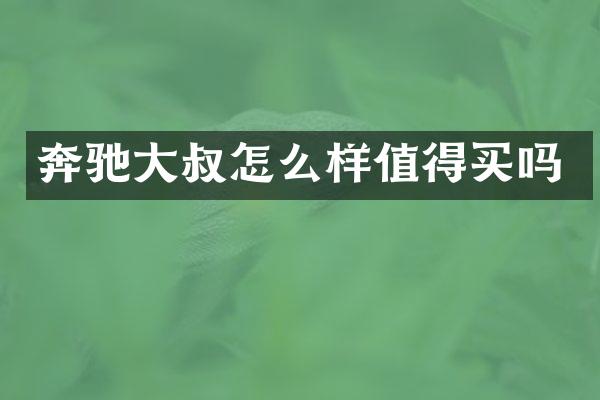 奔驰大叔怎么样值得买吗