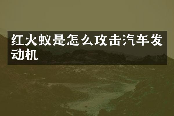 红火蚁是怎么攻击汽车发动机