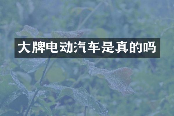 大牌电动汽车是真的吗