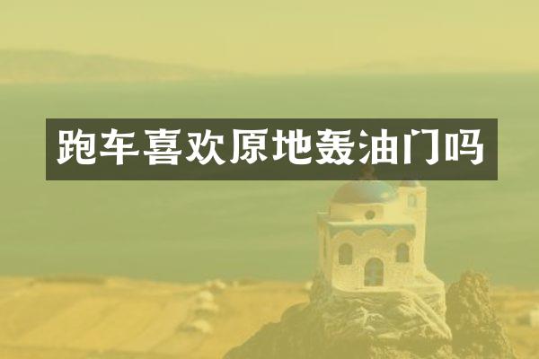 跑车喜欢原地轰油门吗