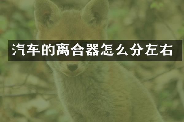 汽车的离合器怎么分左右