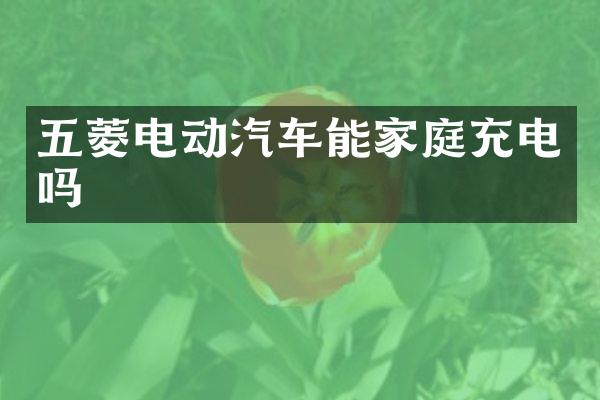 五菱电动汽车能家庭充电吗