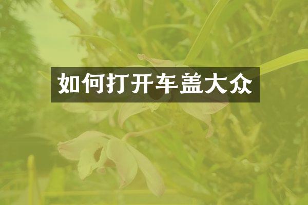 如何打开车盖大众