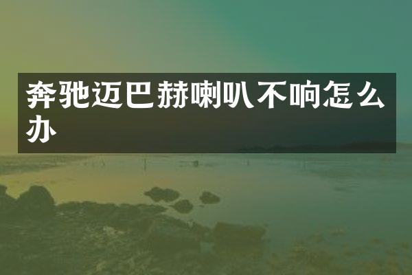 奔驰迈巴赫喇叭不响怎么办