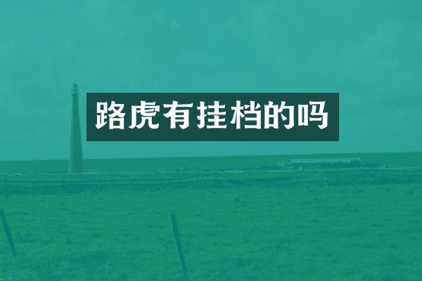 路虎有挂档的吗