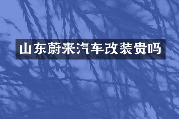 山东蔚来汽车改装贵吗