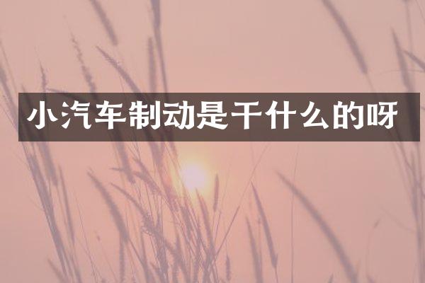 小汽车制动是干什么的呀