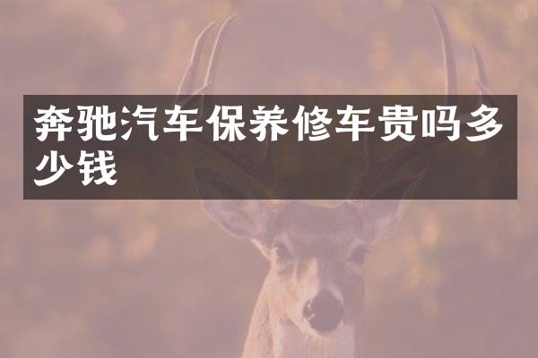 奔驰汽车保养修车贵吗多少钱