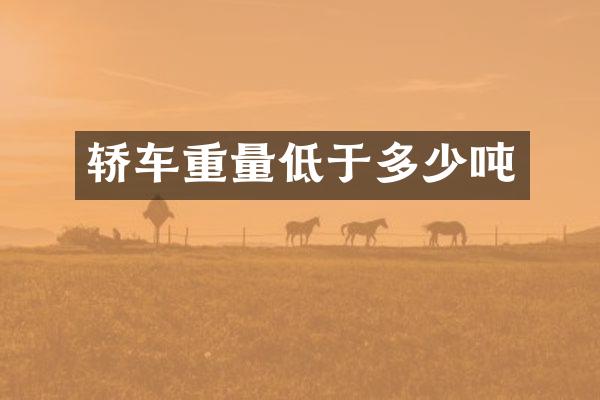 轿车重量低于多少吨