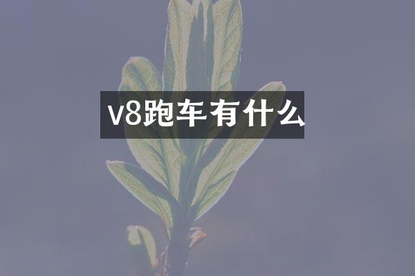 v8跑车有什么
