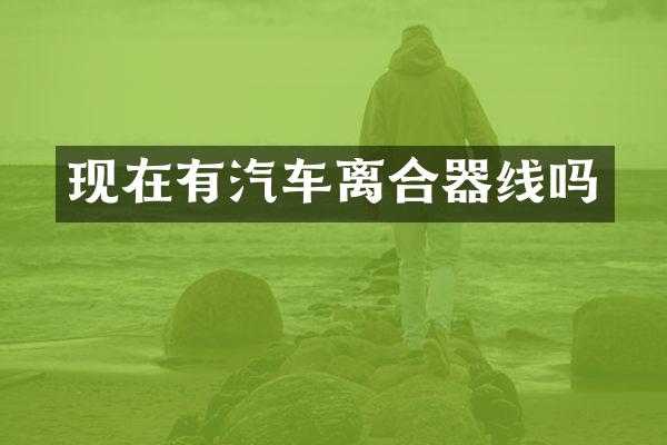 现在有汽车离合器线吗