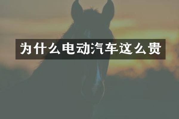 为什么电动汽车这么贵