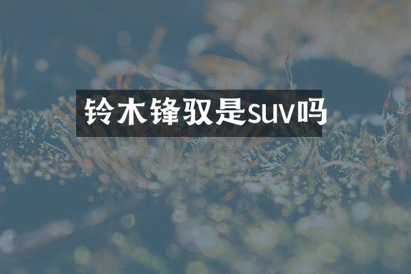 铃木锋驭是suv吗