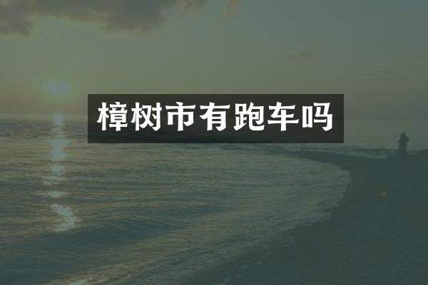 樟树市有跑车吗