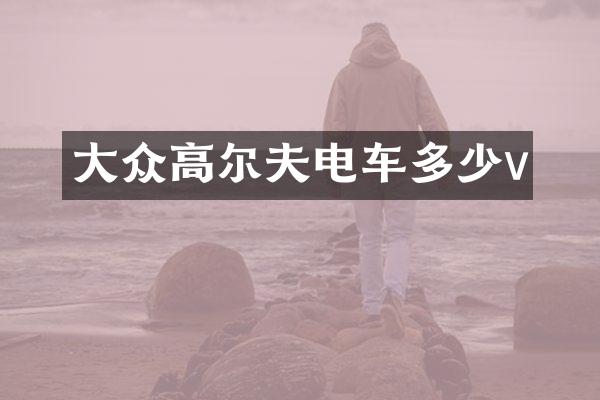 大众高尔夫电车多少v