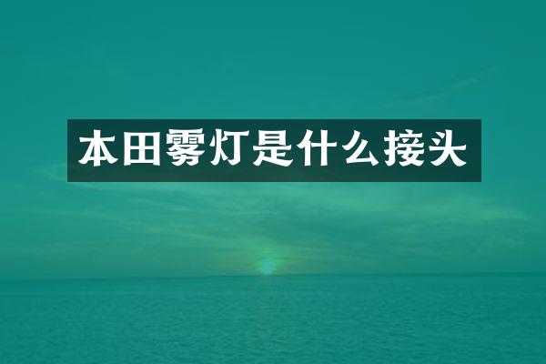 本田雾灯是什么接头