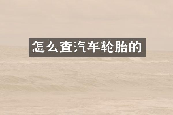 怎么查汽车轮胎的
