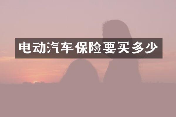 电动汽车保险要买多少