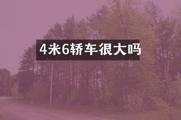 4米6轿车很大吗