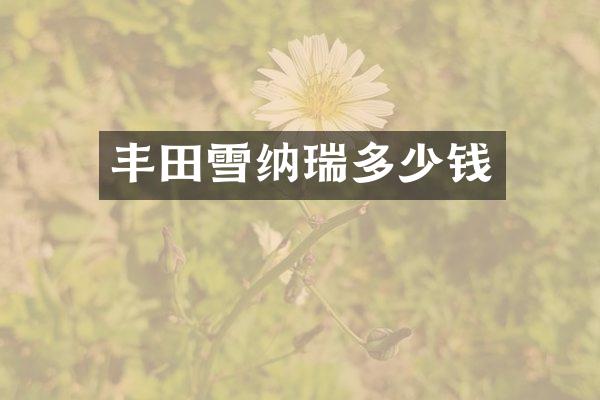 丰田雪纳瑞多少钱