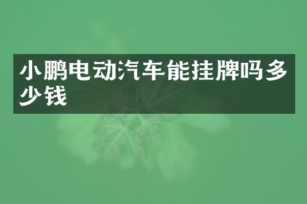 小鹏电动汽车能挂牌吗多少钱