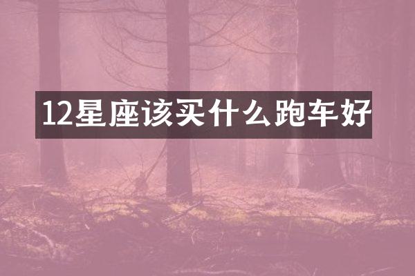 12星座该跑车好