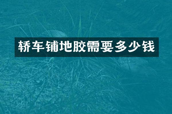 轿车铺地胶需要多少钱