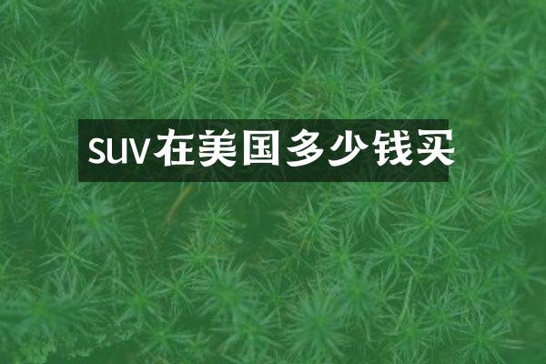 suv在美国多少钱买