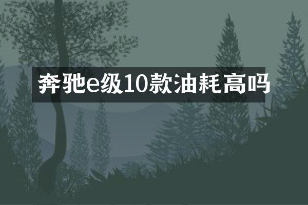 奔驰e级10款油耗高吗
