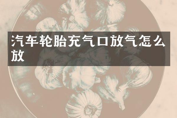 汽车轮胎充气口放气怎么放