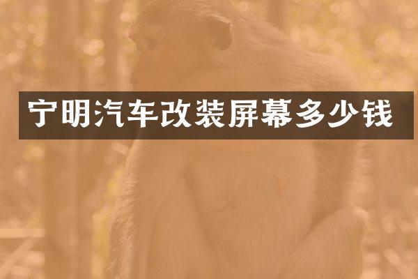 宁明汽车改装屏幕多少钱