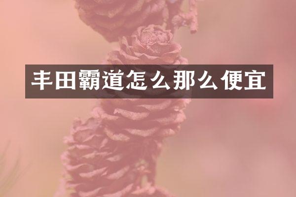 丰田霸道怎么那么便宜