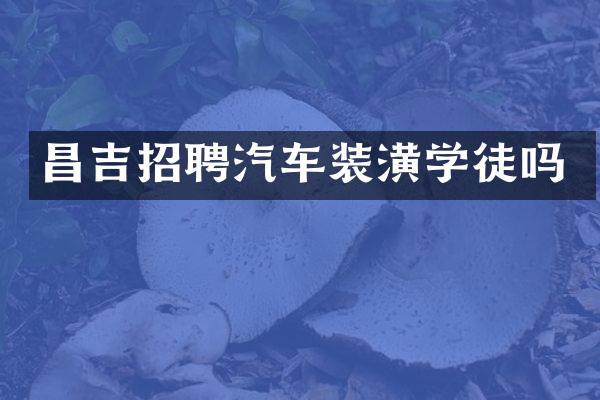 昌吉招聘汽车装潢学徒吗