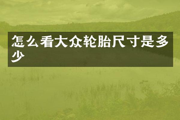怎么看大众轮胎尺寸是多少