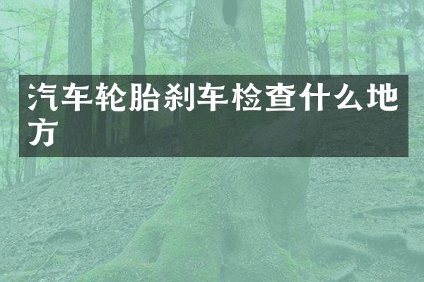 汽车轮胎刹车检查什么地方