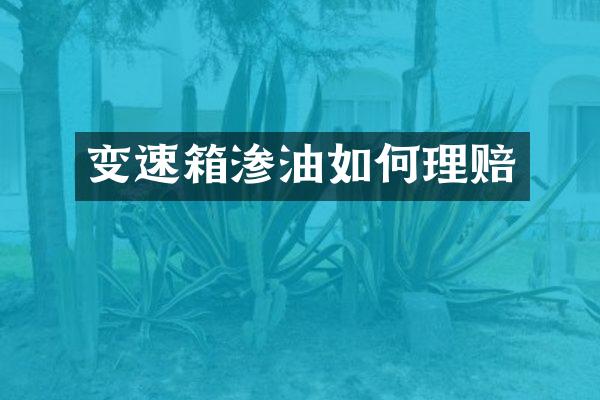 变速箱渗油如何理赔