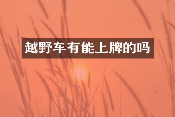 越野车有能上牌的吗