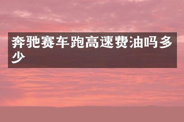 奔驰赛车跑高速费油吗多少