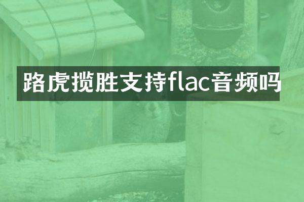 路虎揽胜支持flac音频吗